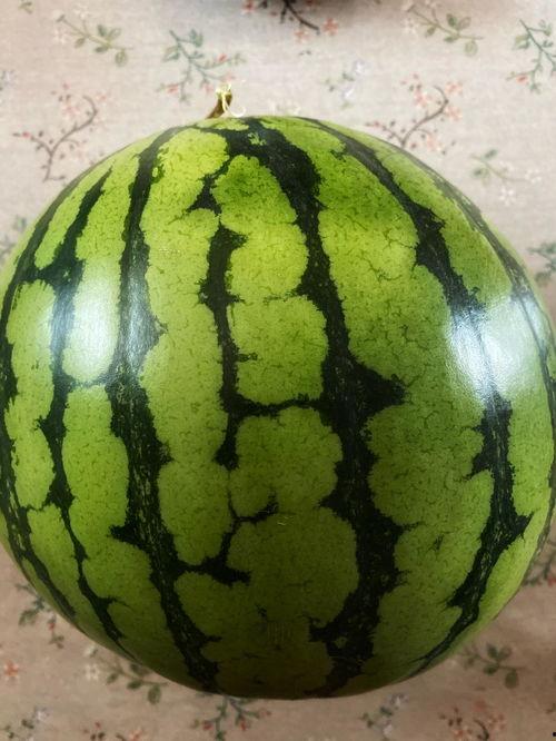 如何表演吃瓜,揭秘如何成为吃瓜界的表演高手