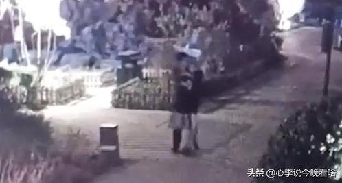 阜宁吃瓜事件视频,一场引发热议的网络风波