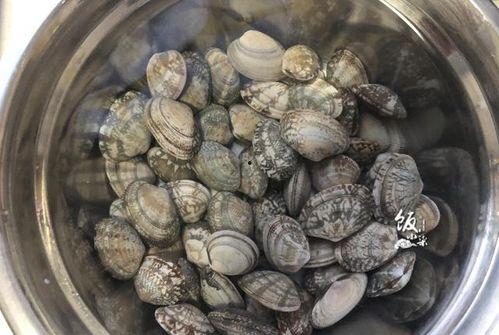 女人每天吃几片瓜最好