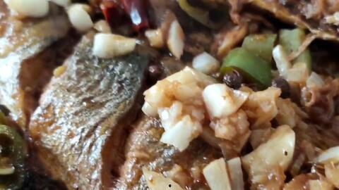 青鱼吃小瓜吗,揭秘青鱼是否食用小瓜