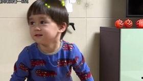 本特利吃瓜图片大全,趣味横生的萌宠日常