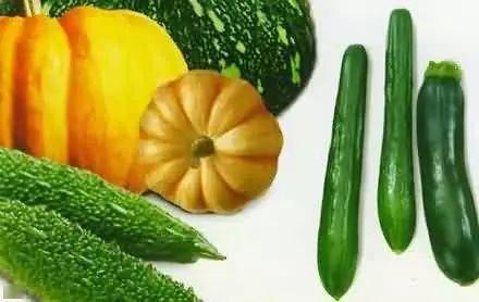 环游吃瓜,尽享各地美食盛宴