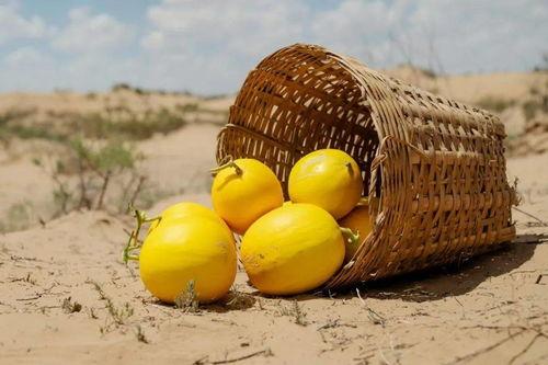 直播吃蜜瓜,直播中的甜蜜瞬间