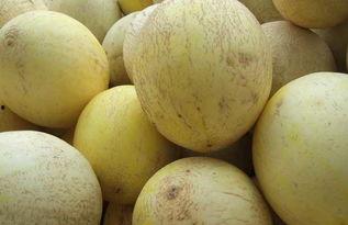 孕妇可以吃白兰瓜,白兰瓜助力母婴健康