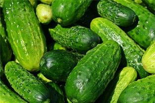 梦见有人给你吃瓜,瓜果飘香，神秘赠食背后的寓意解析