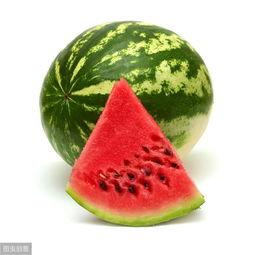 吃瓜的高端名字,揭秘吃瓜达人的高端品味与独特生活