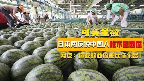 日本网友吃瓜,娱乐圈最新“瓜”事件揭秘