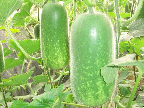 718吃瓜去入口,探寻网络热点的背后故事