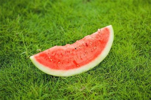 吃瓜嘴里发麻,揭秘神秘口感背后的科学原理