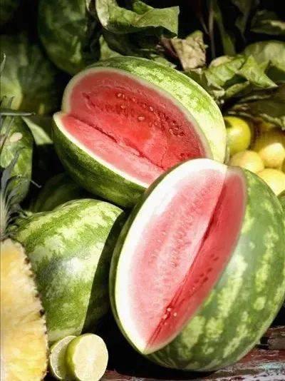 乾坤购物吃瓜视频,揭秘网红购物背后的真相