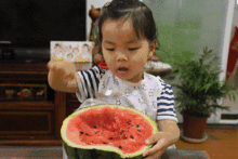 吃瓜为啥会胖,揭秘为何“瓜民”容易发福的秘密