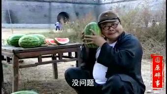 表哥下雨吃瓜视频,表哥的趣味下雨吃瓜日常