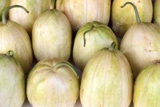 哺乳可以吃白色瓜吗,哺乳期妈妈能否享用美味白色瓜果？