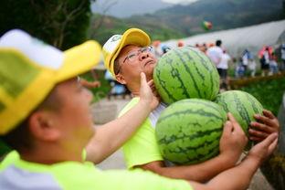翻斗花园小美吃瓜,揭秘瓜界风云