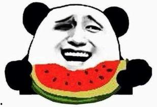 吃瓜群众婉婉,揭秘娱乐圈幕后故事