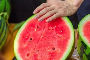 河北沧州学校吃瓜,揭秘校园食品安全问题