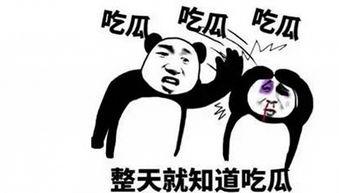 吃瓜吐皮,揭秘娱乐圈背后的真相与笑料