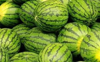 吃西瓜吃别人的瓜吃自己的瓜,共享与自享的西瓜之旅