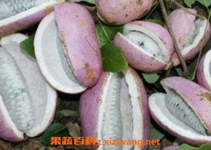 恩施吃瓜新闻最新报道