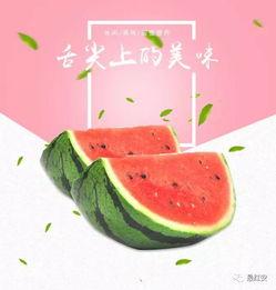 要问吃瓜哪家强,揭秘哪家吃瓜最在行