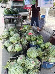 莱芜热门吃瓜事件,一场热门吃瓜事件的背后真相