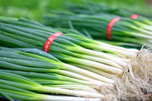 吃中药能吃瓠瓜,瓠瓜与中药同食的奇妙功效