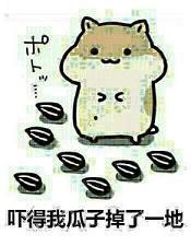 吃瓜表情包瓜子,揭秘吃瓜表情包中的瓜子魅力