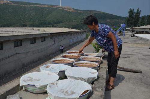 大妈山顶吃瓜,揭秘乡村生活新风尚
