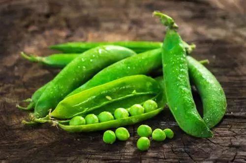 你吃瓜我吃豆,揭秘网络流行语的趣味对决