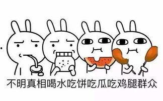长期吃瓜群众的表现