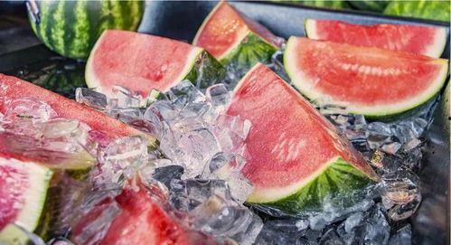 加菲现场吃瓜,萌宠视角下的夏日狂欢