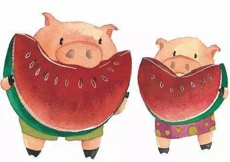 猪吃生瓜,探寻猪只生食瓜果的奥秘