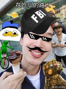 吃瓜路人leely,揭秘娱乐圈幕后故事